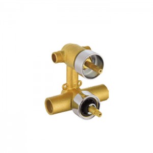D2009 THERMOSTATIC CONCEALED VALVE
